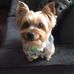 Profile Picture of Marlene M. Kyle (@marlene.kyle.5) on Facebook