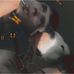 Profile Picture of Michael Treaster (@michael.treaster.79) on Facebook