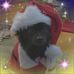 Profile Picture of Lisa Hall Wilcott (@lisa.wilcott) on Facebook