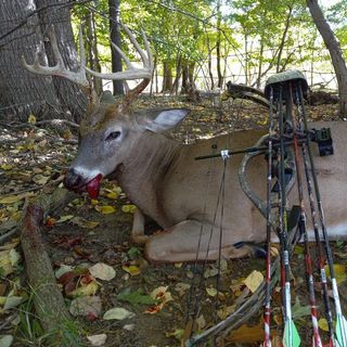 Profile Picture of Randy Strouse (@strouserandy) on Instagram