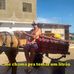 Profile Picture of Jose Mendonca (@jose.mendonca.7311352) on Facebook