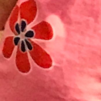 Profile Picture of MB (@MaeBloom8) on Twitter