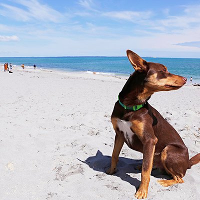 Profile Picture of Brad Parker (@parkseybrad) on Twitter