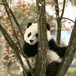 Profile Picture of Timothy John Carreon (@timjohn12) on Facebook