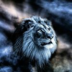 Profile Picture of Ivan (@wolves_are_fearsome) on Instagram