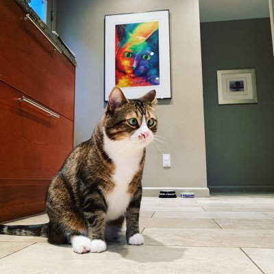 Profile Picture of Matthew Pearl (@MatthewPearl15) on Twitter