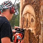 Profile Picture of Ian Williams (@ianwilliamschainsawcarving) on Instagram