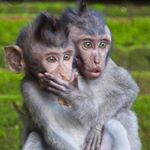 Profile Picture of Guy Goodman (@ghermannson) on Instagram