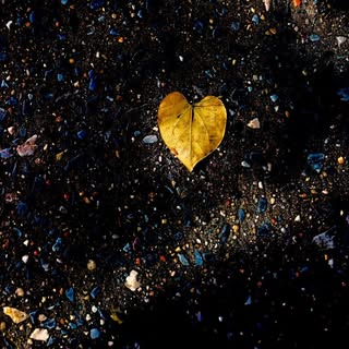 Profile Picture of Seth Fried (@fried_seth) on Instagram