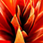 Profile Picture of Simon Adams (@simon adams) on Flickr