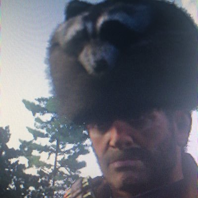 Steven. - Twitter Profile Picture of Steven. (@BitterKnave) on Twitter