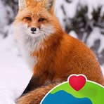 Profile Picture of Debra Koehler (@Debra-Koehler) on Facebook