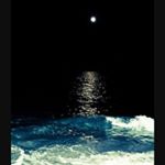 Profile Picture of ashton james smith timbs (@ashtons_spam_68) on Instagram