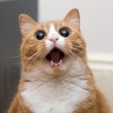 Profile Picture of LucasMaldonado (@LucasMaldonadoA) on Twitter