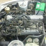 Profile Picture of David Ellefson (@dellefson52151) on Instagram