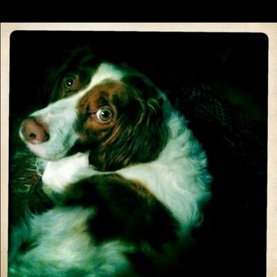 Profile Picture of Susan Loomis Wyatt (@@SueLoo) on Twitter