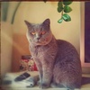 Profile Picture of Jana (@@janault) on Tiktok