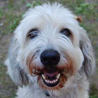 Profile Picture of Jack N Sandy Otteren (@jacknsandy.otteren.56) on Facebook