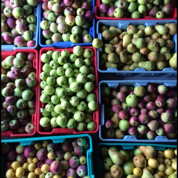 Profile Picture of Brynn Brown (@babsandbubs) on Poshmark