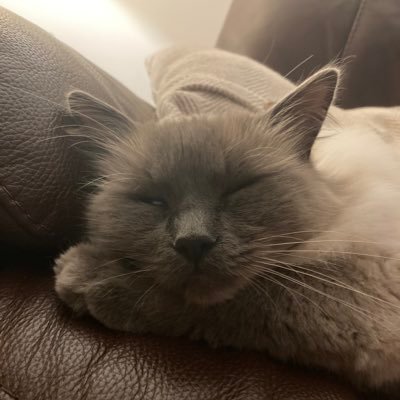 Profile Picture of Andy Keen (@k66noa) on Twitter