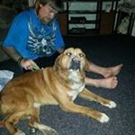 Profile Picture of Joe Lewallen (@lewallenjoe) on Instagram