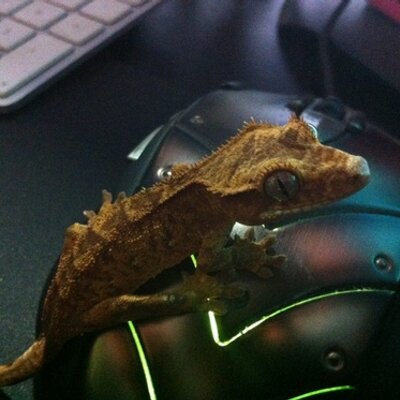 Profile Picture of Stacey Vincent (@StaceyDigitalis) on Twitter