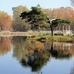 Profile Picture of Audette (@audettejamesbu) on Instagram