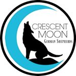 Profile Picture of Jessica Bailey (@crescentmoon2018) on Instagram