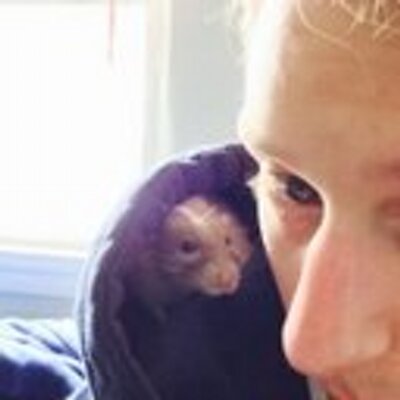 Profile Picture of Joe Cataldo (@JoeCat17) on Twitter