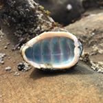 Profile Picture of Julia kimes (@julia.kimes) on Instagram