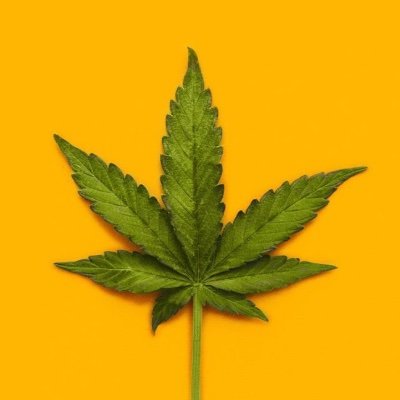 Profile Picture of Matthew Sparling (@MatthewSparlin1) on Twitter
