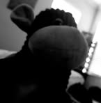 Profile Picture of Andrew Chase (@lXxCHASEHOWARDxXl) on Facebook