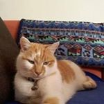 Profile Picture of Laurence Pochon Crivelli (@laurencepochonc) on Instagram