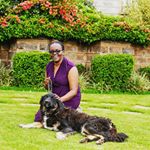 Profile Picture of Sherry Irungu (@sherryjester) on Instagram