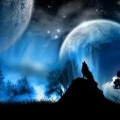 Profile Picture of Michael Scheib (@michael_scheib) on Twitter