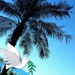 Profile Picture of Misako Ota (@ota_misako) on Instagram