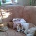 Profile Picture of Peter Feist (@peter.feist.315) on Facebook