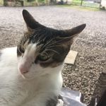 Profile Picture of Baron Nicholas (@baron_nicholas_nickelby) on Instagram