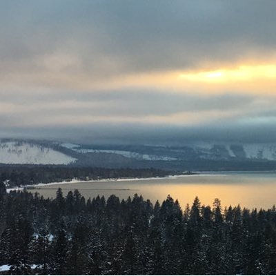 Profile Picture of Laurie Zou (@zou_xin) on Twitter