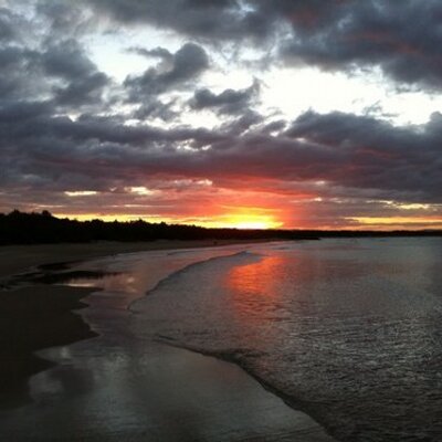 Profile Picture of Robert S Savio (@robertsavio1) on Twitter