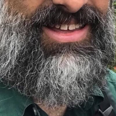 Profile Picture of Councillor Johnstone's Beard (@PatJsBeard) on Twitter