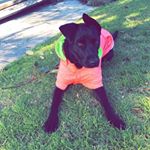 Sasha Pearson - Instagram Profile Picture of Sasha Pearson (@sashapearsonn) on Instagram