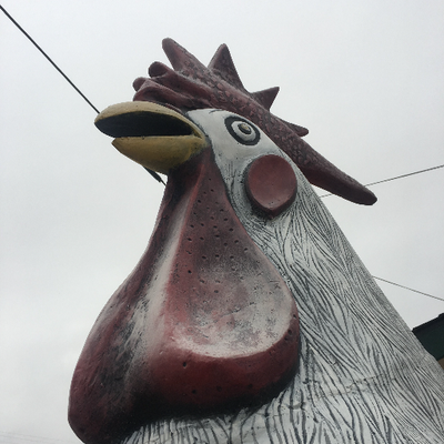 Profile Picture of Chris Cosmo (@Chriscosmo1) on Twitter