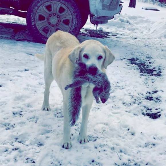 Profile Picture of Michael Erwin (@me_112) on Poshmark