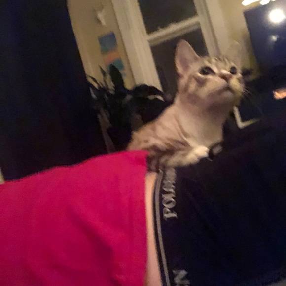 Profile Picture of Jake Hurter (@jhurter13) on Poshmark