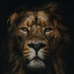 Profile Picture of 𝗥𝗼𝗯𝗲𝗿𝘁 𝗘𝗯𝗯𝗲𝗹𝗶𝗻𝗸 🔨 (@robertebbelink) on Instagram