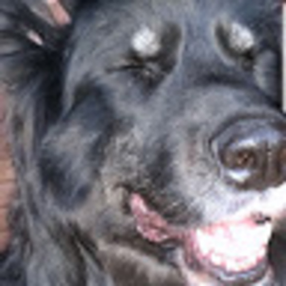 Profile Picture of Classic Sticky (@jimmy_07129) on Poshmark