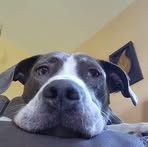 Profile Picture of Jim Hagy (@jim.hagy.2025) on Facebook