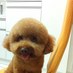 Profile Picture of Huang.Tien Lin (@b00222) on Twitter