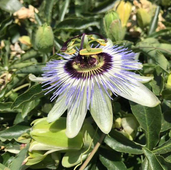 Profile Picture of Joohyun Kim (@jojofishtails) on Poshmark